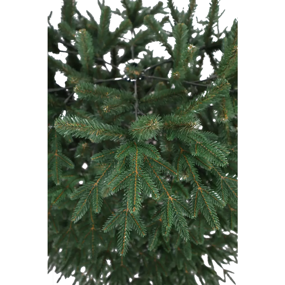 88580259 Ель Итальянская зонтик 214 см STLM-1520147 НОВАЯ ЁЛКА  - Вид №3