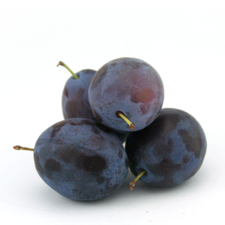 Слива Молдавия Santreyd 8626 - Вид №1