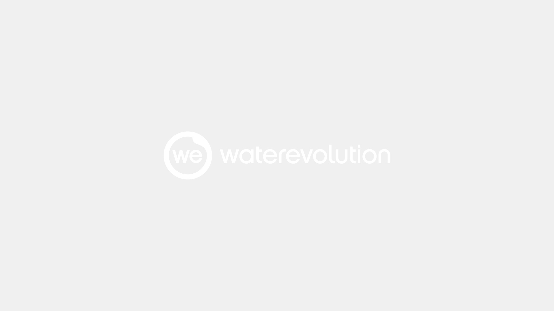 A2.41 Ершик Waterrevolution Line DEEP Water Evolution  - Вид №1