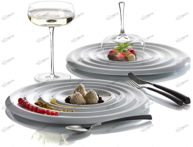 Zieher Фарфоровая тарелка Pulsar 4507.01pb/4507.02pb 