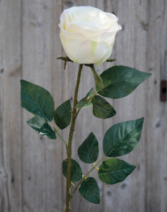 9816 778 a3 Искусственная роза, 90 см, бежево-белая H-andreas