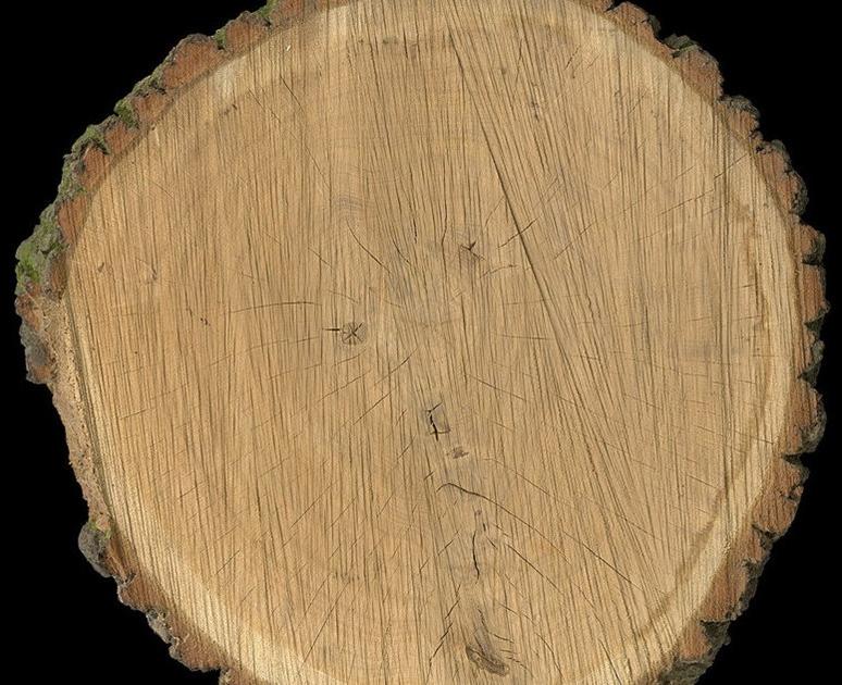 Architects Paper Обои с цифровой печатью Ap digital iv 108675 - Вид №1