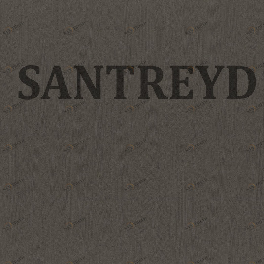 411935 Обои Rasch Hyde Park