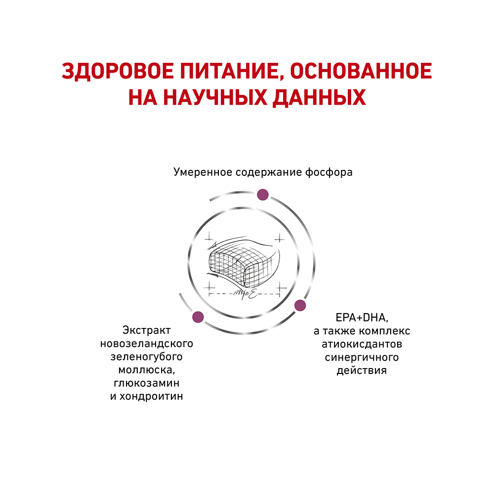 ПР0056145 Корм для кошек Vet Diet Early Renal при ранней стадии почечной недостаточности сух. 1,5кг ROYAL CANIN  - Вид №3