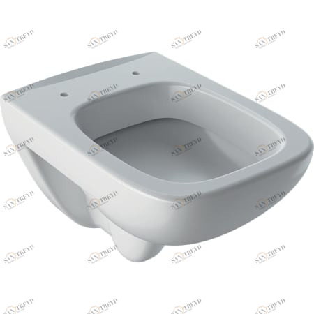 202150000 Подвесной унитаз настенный Белый Geberit  Германия 