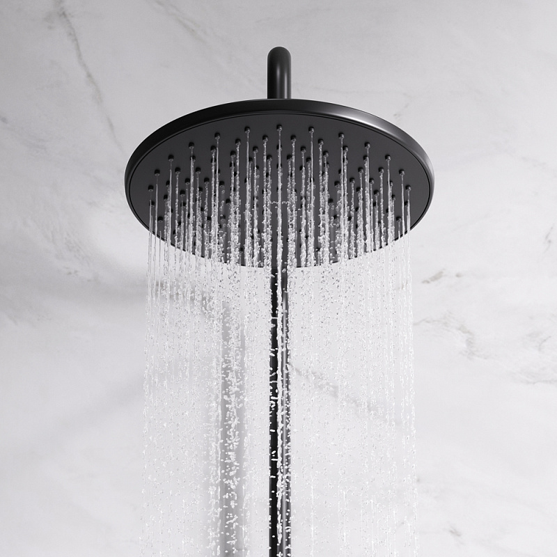 F42890A14 набор 2в1: см-ль д/ванны/душа верхний душ d 220 мм ручн.душ 110 мм 1 ф-ция душевая AM.PM Gem - Вид №3