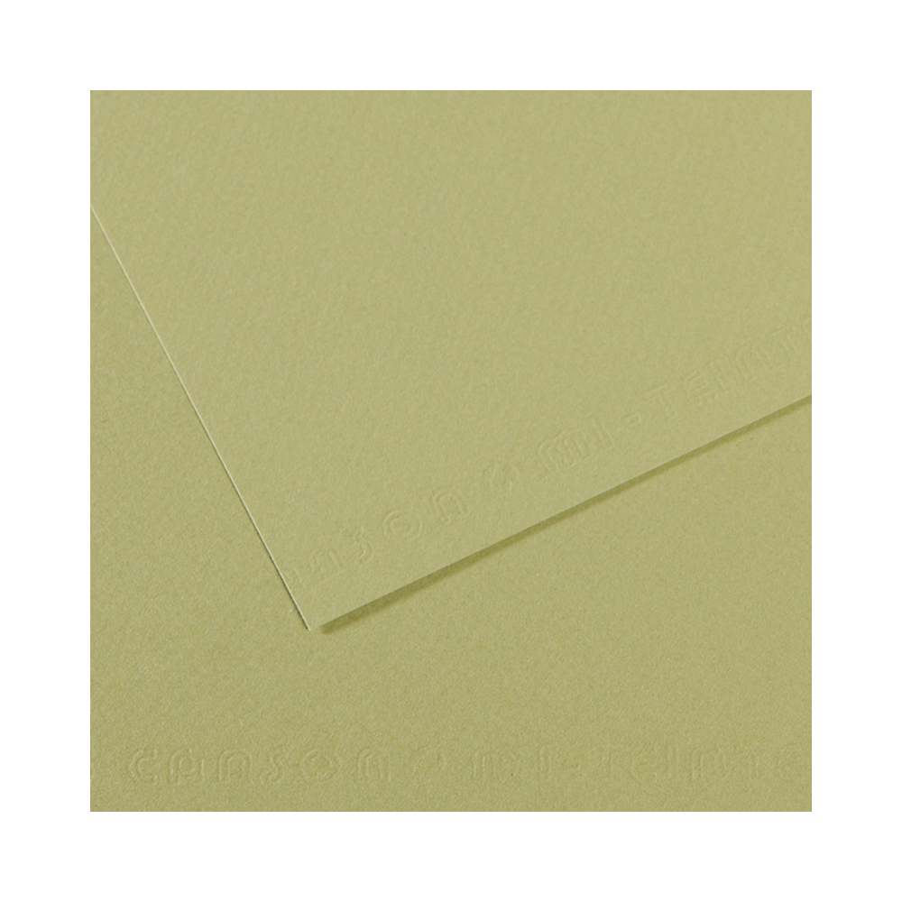 200321167 Бумага для пастели Mi-Teintes 160 г/м2 75 х 110 см лист №480 светло-зеленый Canson 