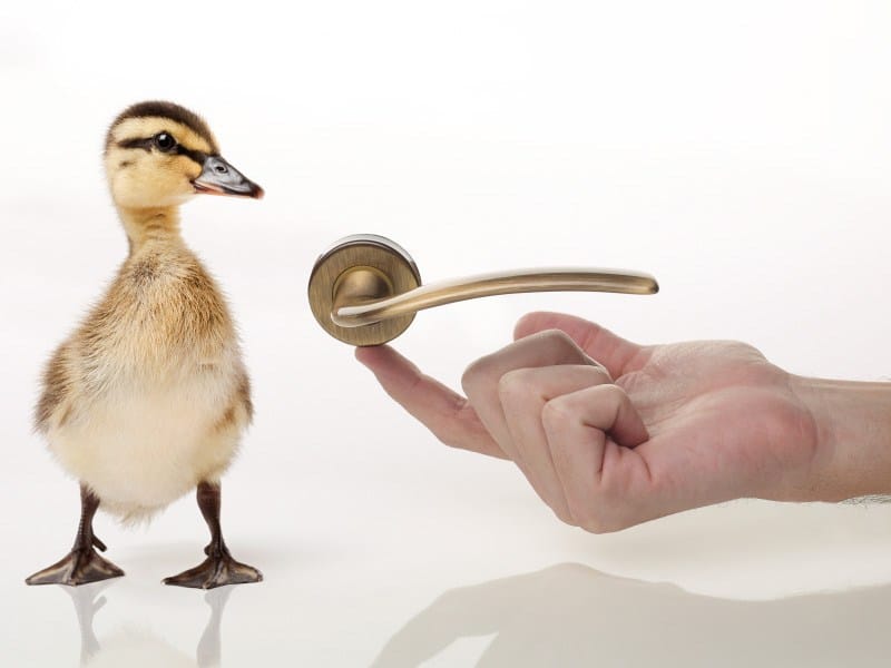 Классическая латунная ручка на розетке с насадкой LINEA CALI' перо ARCH-00078891 - Вид №1