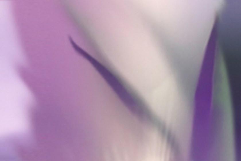 GLAMORA Обои на стену Collection x creative wallcoverings Glx12 - Вид №2