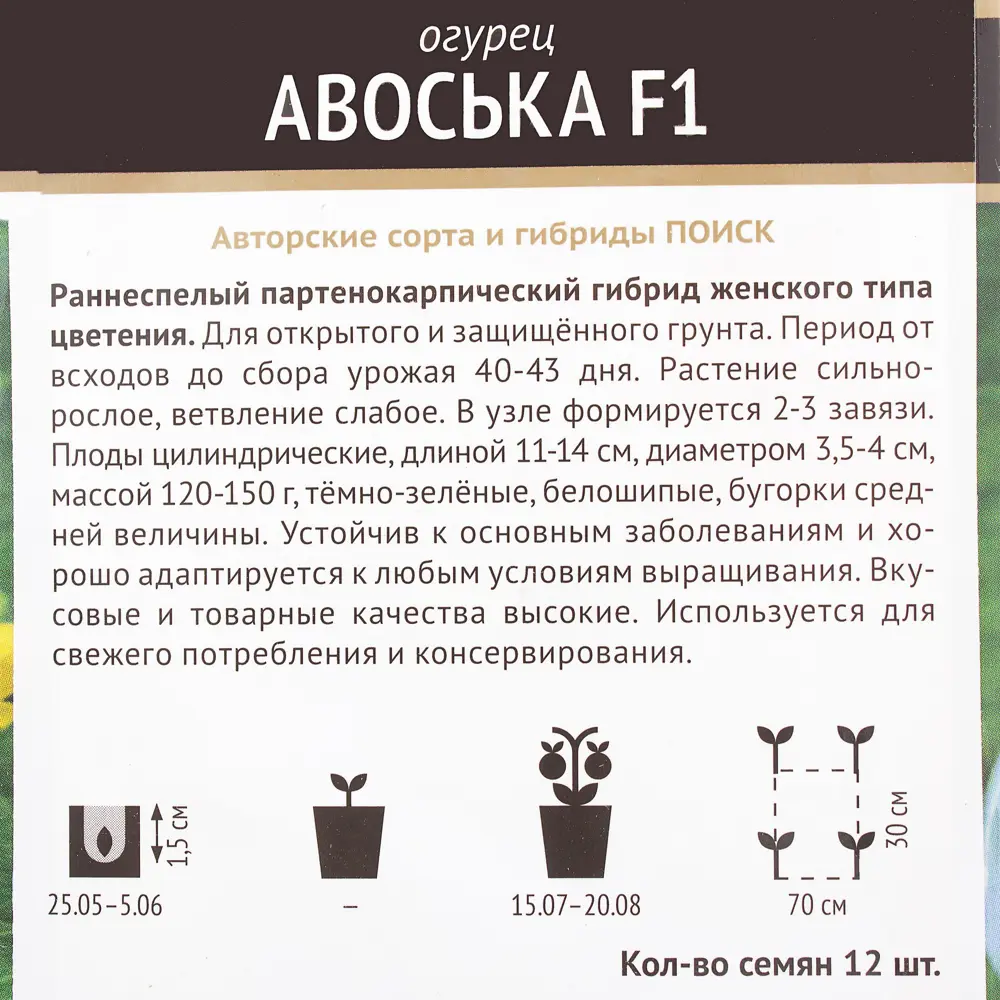 Семена Огурец «Авоська» F1 ПОИСК STLM-2072359 - Вид №2