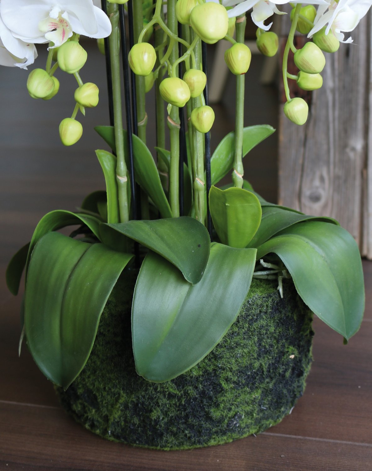 2861 777 a3 Пластиковая орхидея Phalaenopsis с 'почвой', 9-кратная, 70 см, real touch, белая H-andreas  - Вид №7