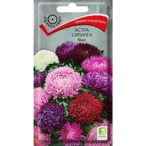 Семена цветов Поиск астра Сиринга микс 89346624 STLM-2031399