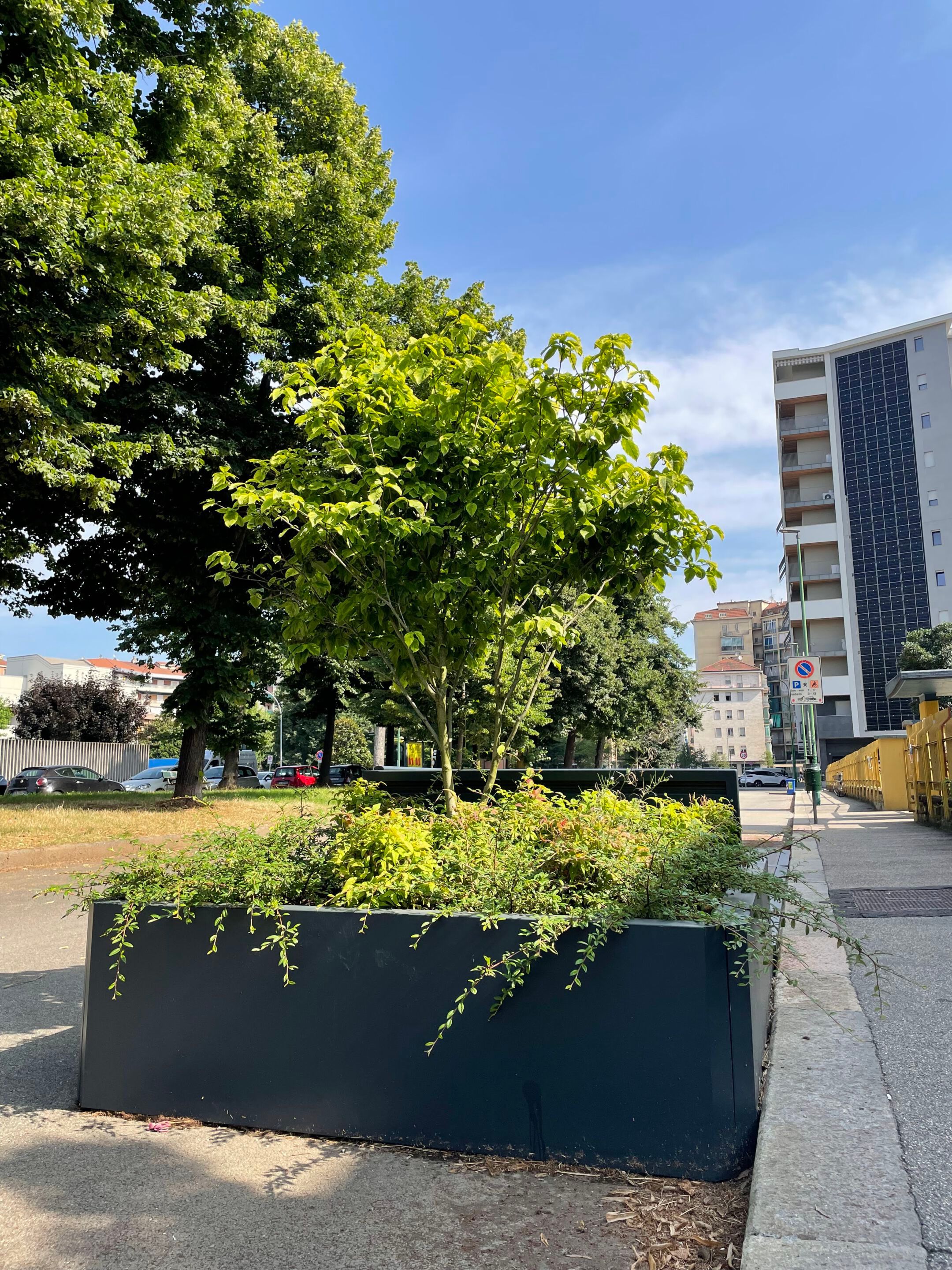 Стальная скамейка со встроенным плантатором Studio Città Lets-Park ARCH-00037121 - Вид №3