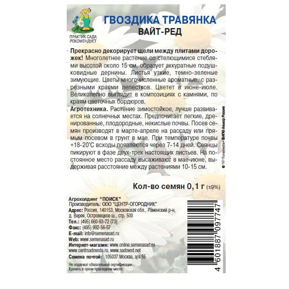 Семена цветов Поиск гвоздика травянка Вайт-ред 86218042 STLM-2202462  - Вид №1