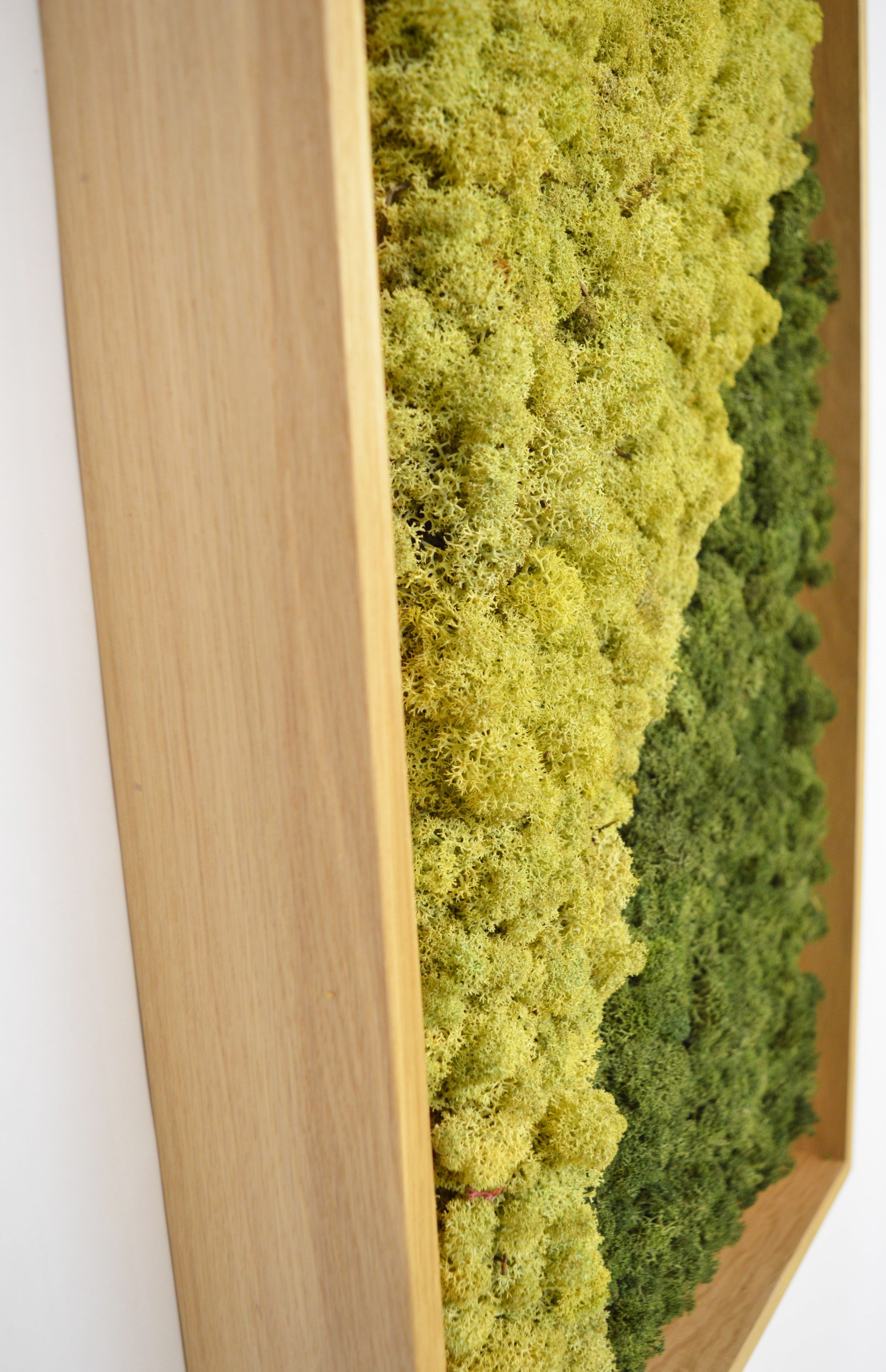 Акустическая панель из мха GREENMOOD FRAMED SYNERGY ARCH-00061647 - Вид №21