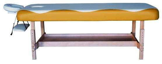 TS100 Массажный стационарный стол SUPERIOR DFC  - Вид №1