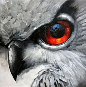 Картина на холсте 100х100 см "Орлиный глаз" EVENHOME КАРТИНЫ МАСЛОМ 129892 Красный;серый;черный;разноцветный