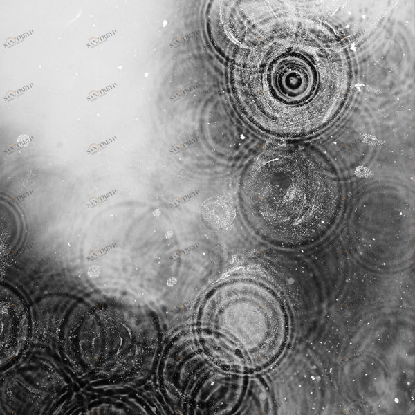 Арт-панель на холсте Alex Turco Liquid Dreams In The Silver Rain INTHESILVERRAIN