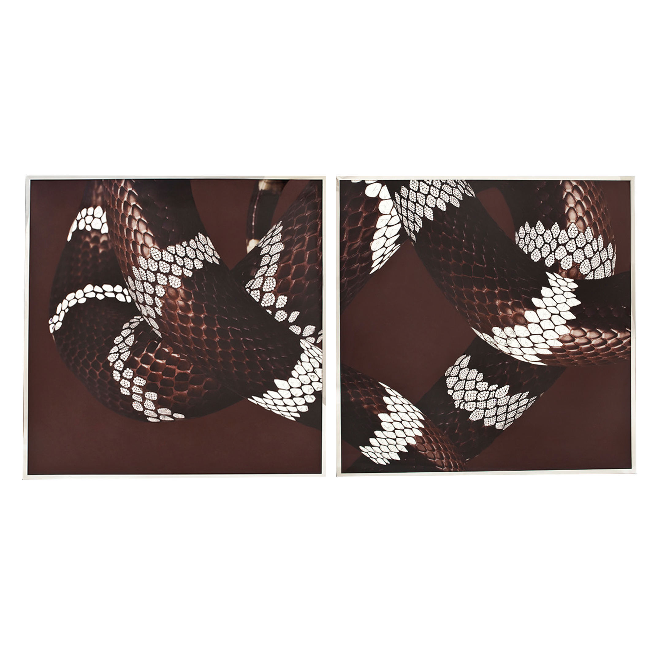 Serpenti Смешанная техника Visionnaire  - Вид №1