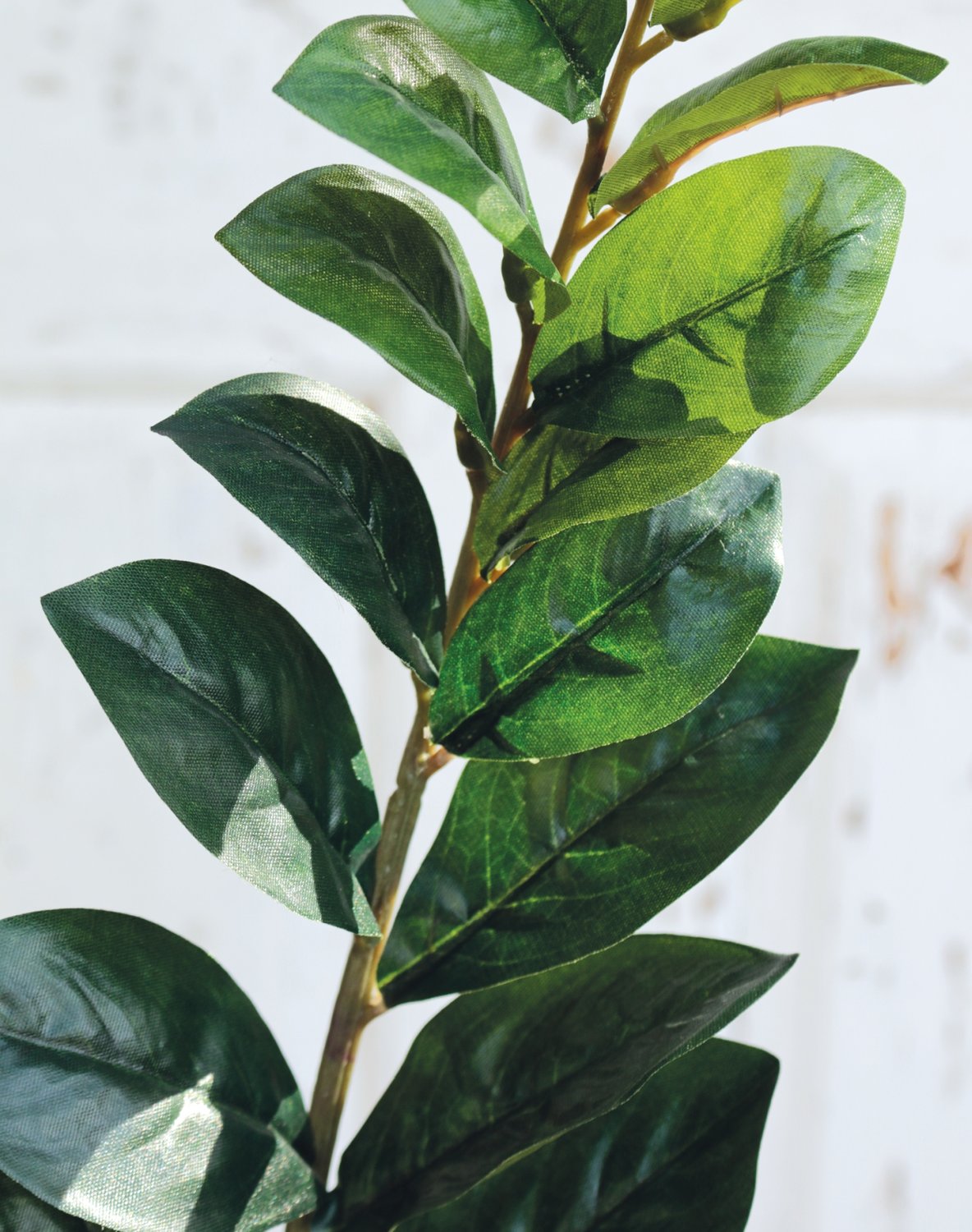 5244 883 a2 Искусственная ветка из листьев магнолии, 62 см, зеленая H-andreas 