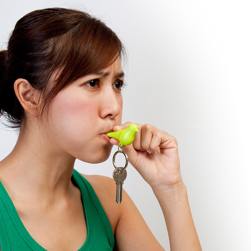 QL10124-BN-YW Держатель для ключей двойной sparrow коричневый-белый-желтый Qualy  - Вид №2