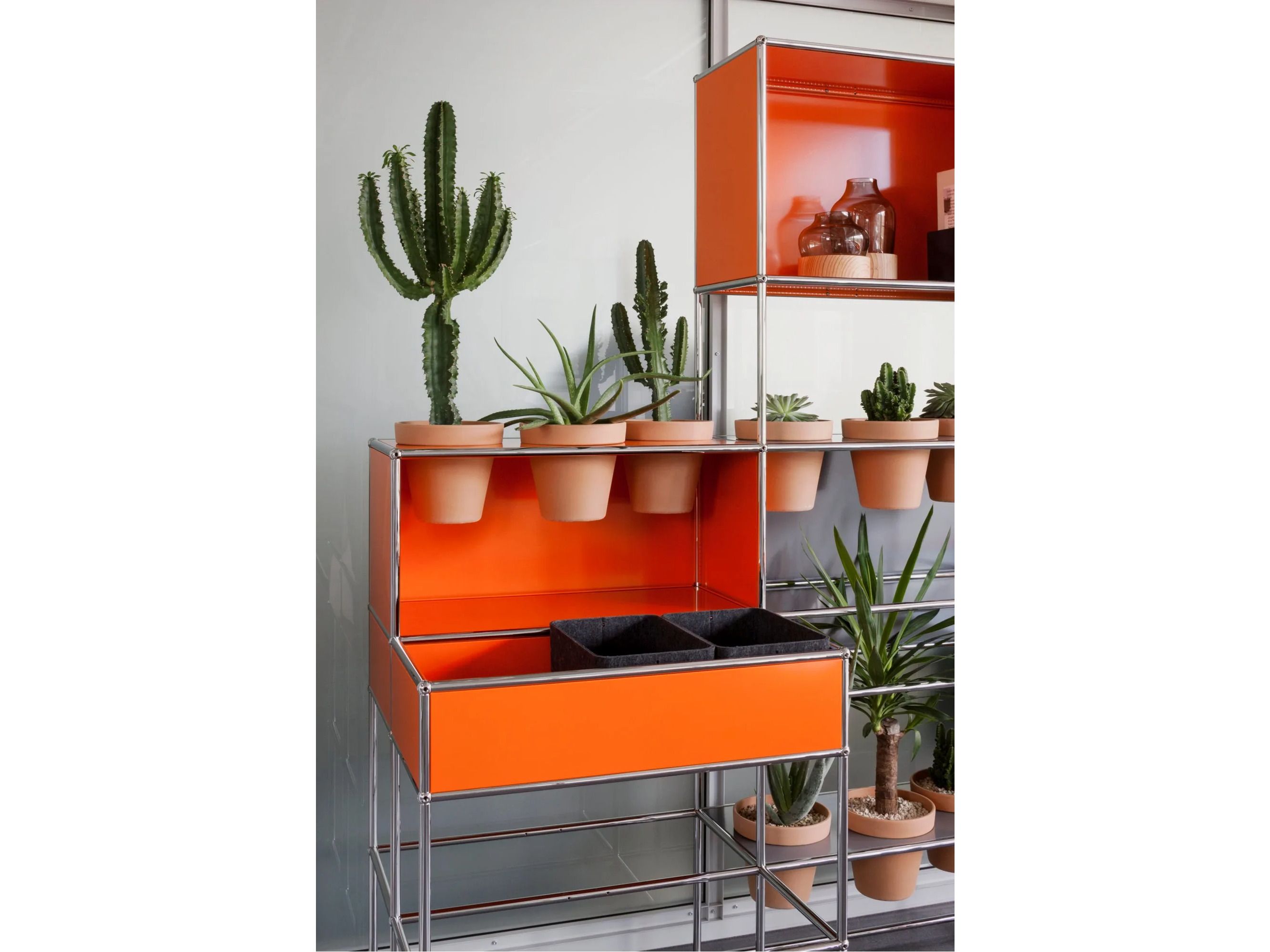 Медиа-библиотека USM мир растений для USM Haller ARCH-00122253 - Вид №2