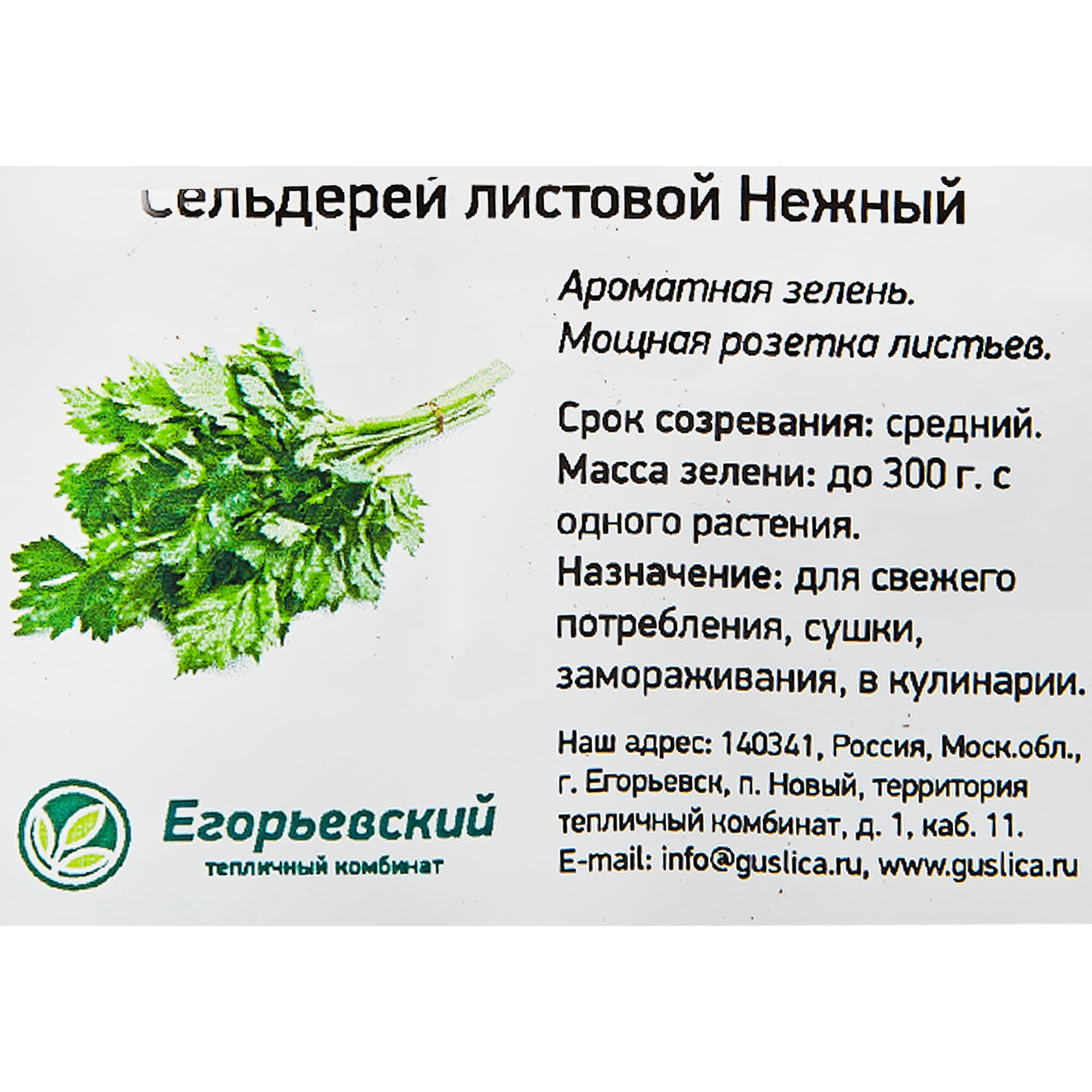 82585488 Сельдерей в кассете, 6 шт Santreyd  - Вид №1
