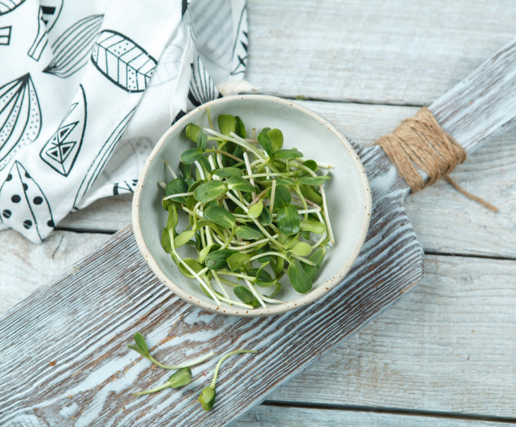 4123 Микрозелень подсолнечника Вкусляндия 