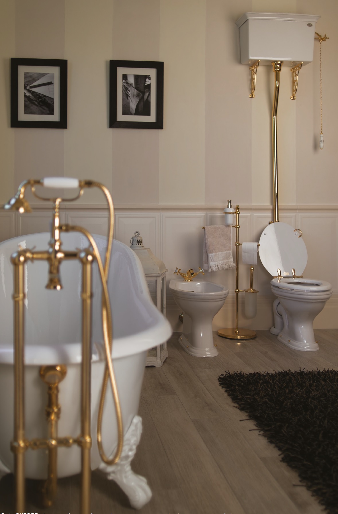 505 PHOX01 — Vaso Gaia  Oxford - Вид №3