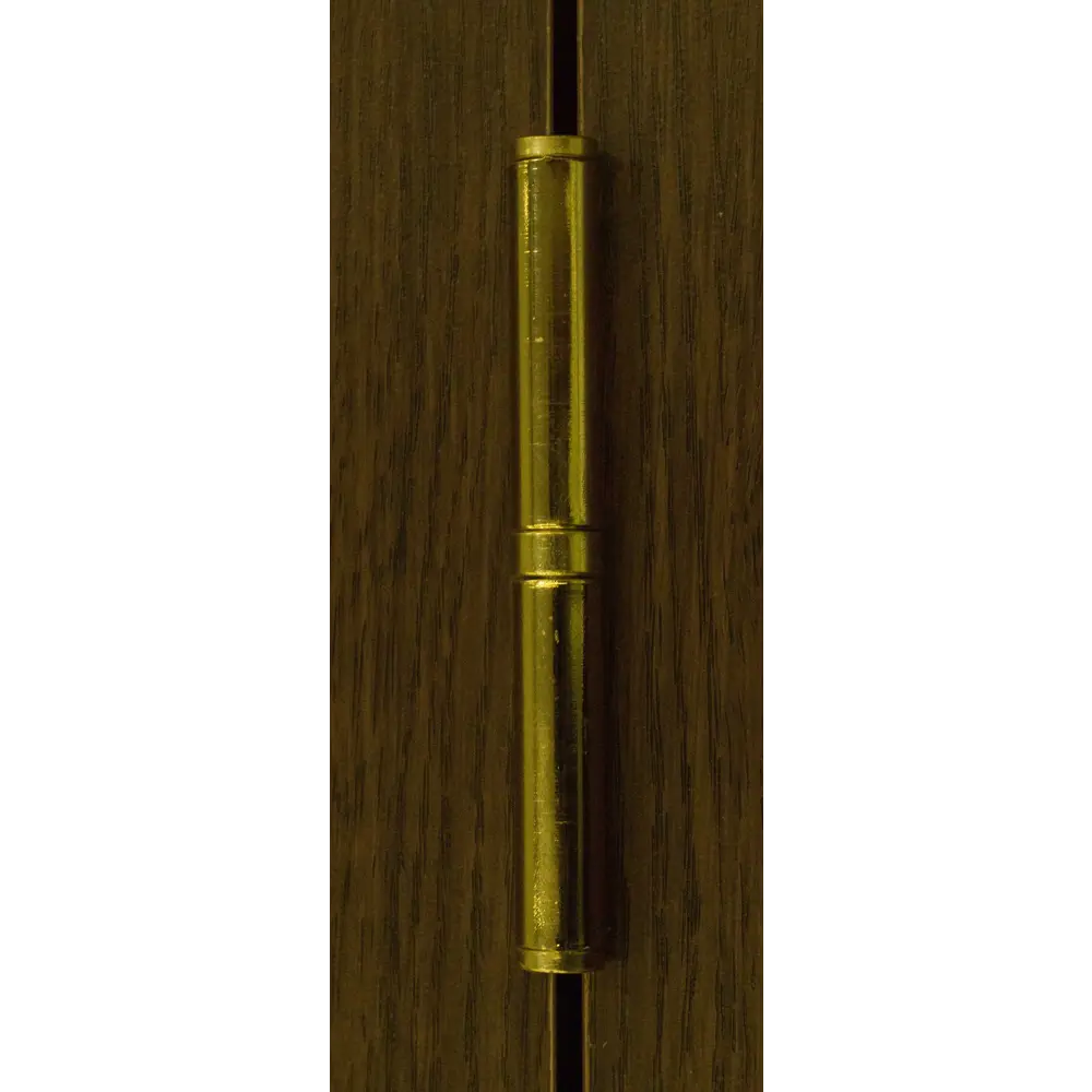 Петля съемная Fuaro 413/BL-4 правая 100x75x2.5 цвет матовое золото STLM-2072237 - Вид №4