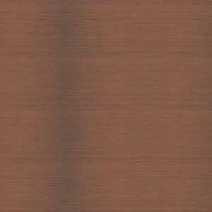 Террасная доска TerraPol Заборная доска 843 Абрикос (Рельефная) 2400х120 мм.