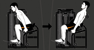 HBK1600 Steel flex hope hbk1600 разгибание спины Steel Flex Hope - Вид №1