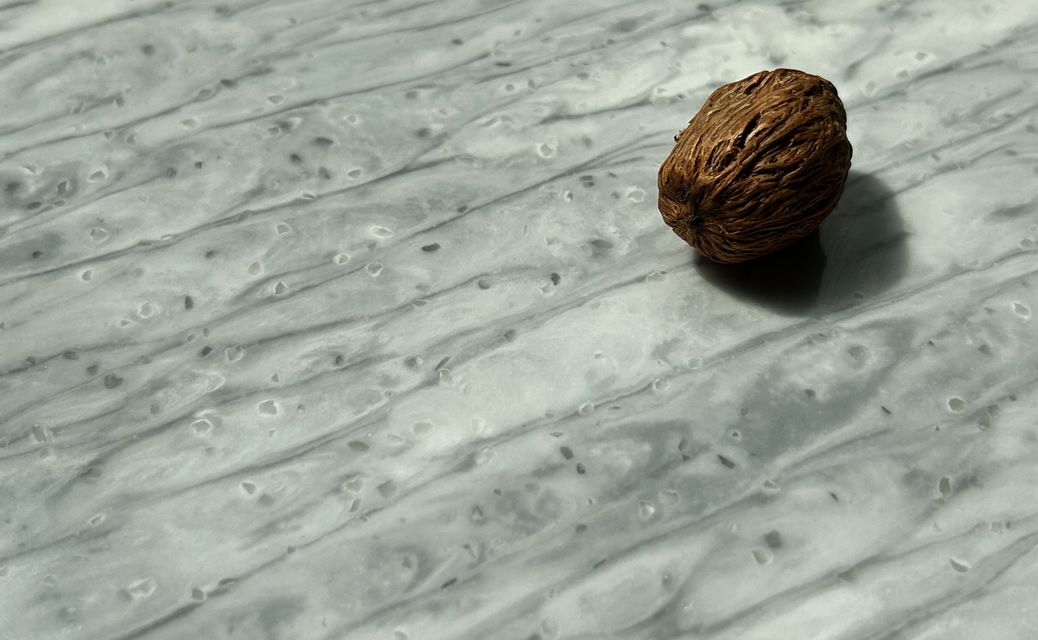 Столешницы для кухни - Помпео LIGRON LIST217 1817 - Вид №2