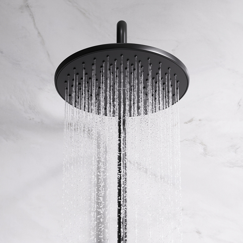 F42885A24 набор 2в1: см-ль д/душа верхний душ d 220 мм ручн.душ 110 мм 1 ф-ция душевая шт AM.PM X-Joy  - Вид №3