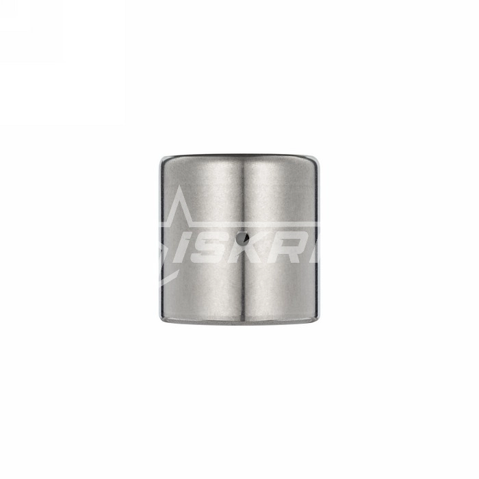 IS1596 Подшипник HK0810RS ISKRA  - Вид №3