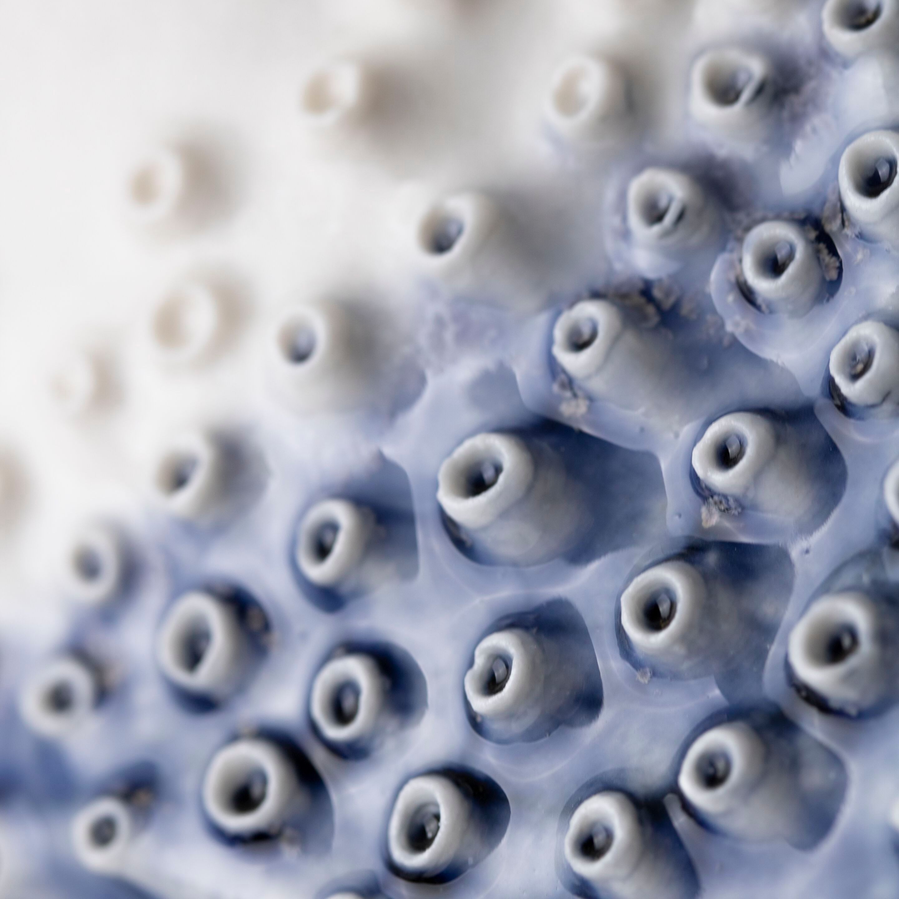 Фарфоровая ваза Fos Ceramiche Porifera ARCH-00144860 - Вид №4