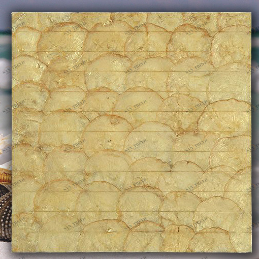 МОЗАИКА ИЗ РАКУШЕК SMS-04 NATURAL SHELL SMS04
