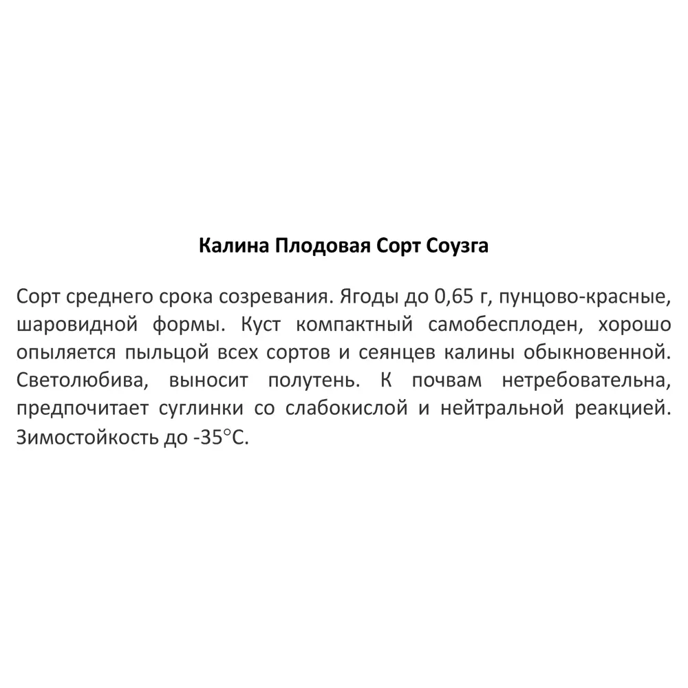 Калина плодовая микс ø15 h40 см 85607978 STLM-2183345 Santreyd  - Вид №2