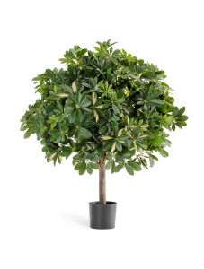 10.38604NW Шеффлера гигантский шар пёстрая 110 см Цветочная коллекция