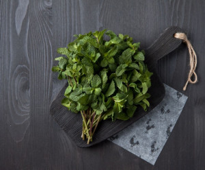 8504 Мята Вкусляндия