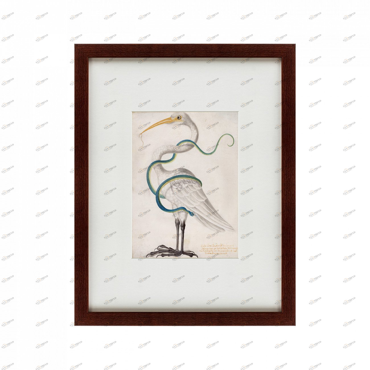 Картина в раме 60х47 см Heron encircled by a snake, 1700 КАРТИНЫ В КВАРТИРУ  135653 Серый 