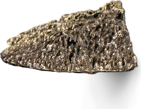 EA1031 Fungi PULLCAST Earth Collection  - Вид №3