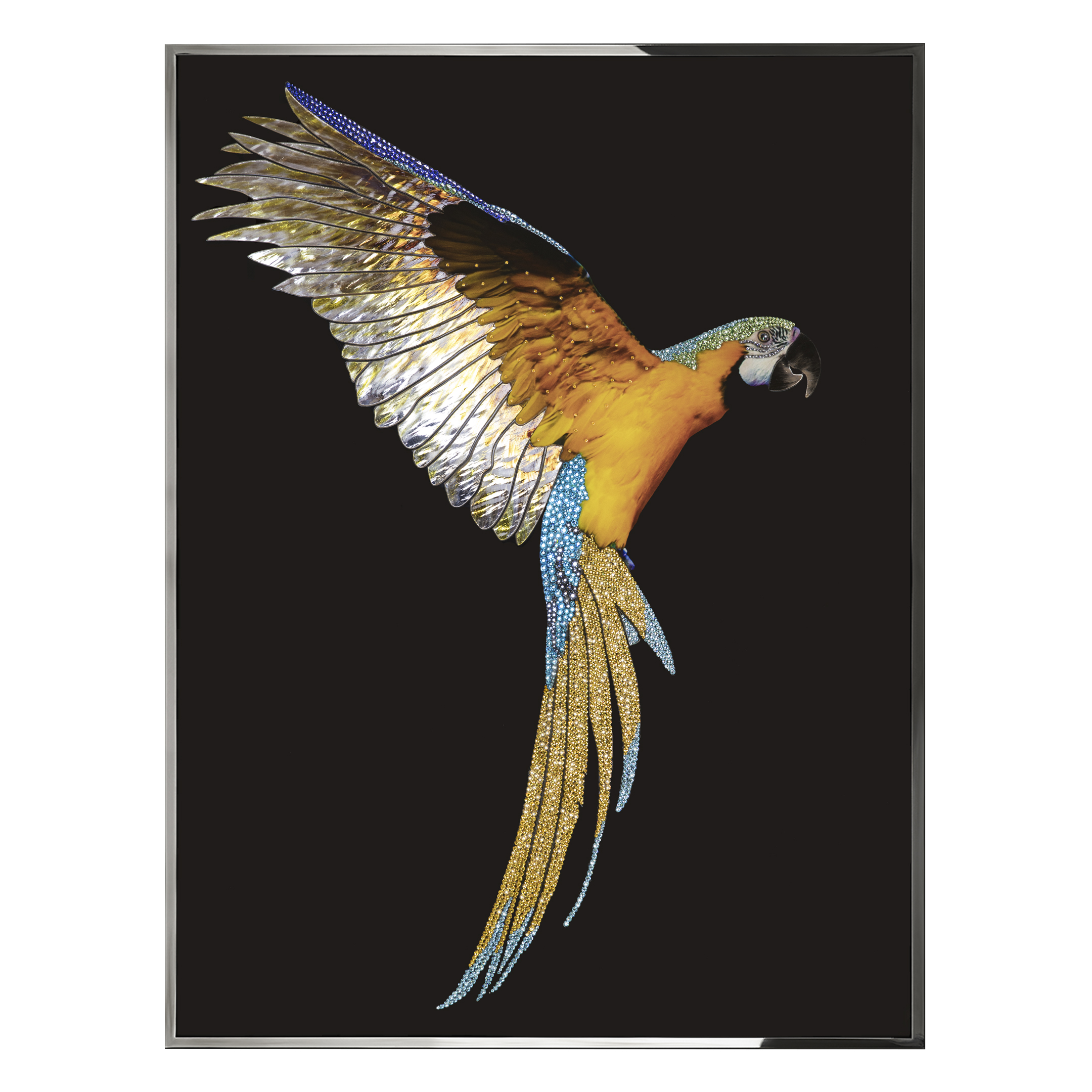 Parrot Ara Смешанная техника Visionnaire  - Вид №1