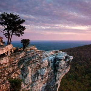 WP00670 Фотообои Verol Фотообои decoline 1х1 м