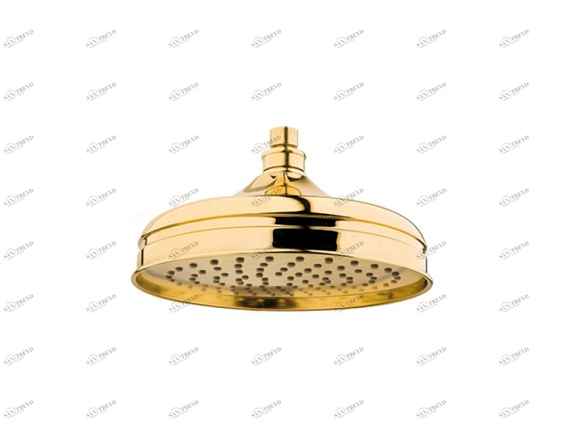 015946.0AR.50 Душевая лейка 200мм Яркий хром Mestre 