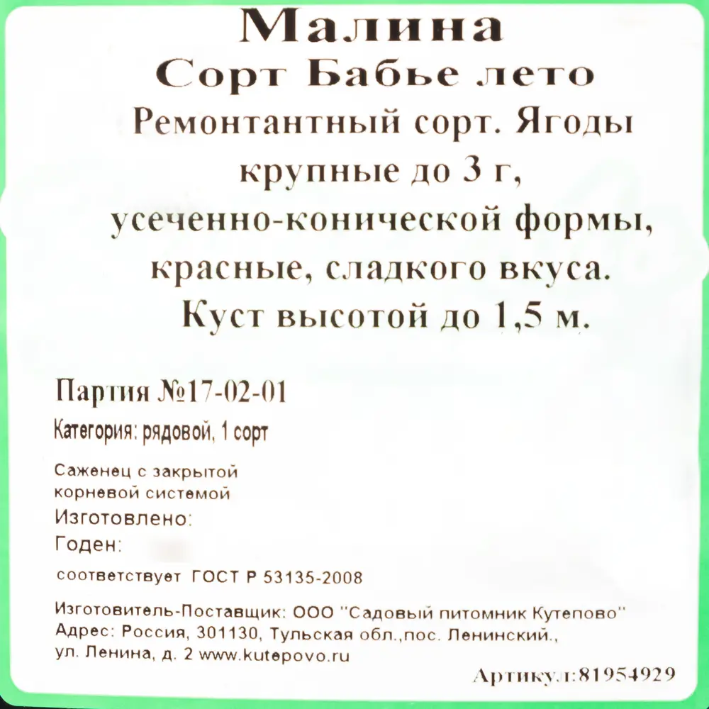 Саженец малины «Бабье лето» от Santreyd — урожайный сорт для сада 81954929 STLM-0955027 - Вид №1