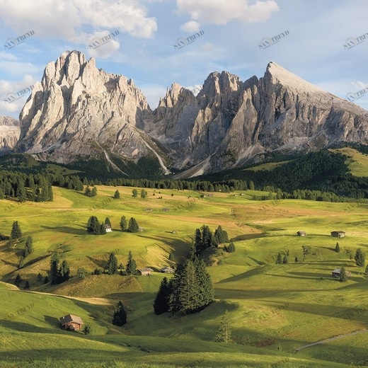 SH090-VD4-Alpen Фотообои Komar Stefan Hefele 2.5х4 м SH090VD4ALPEN