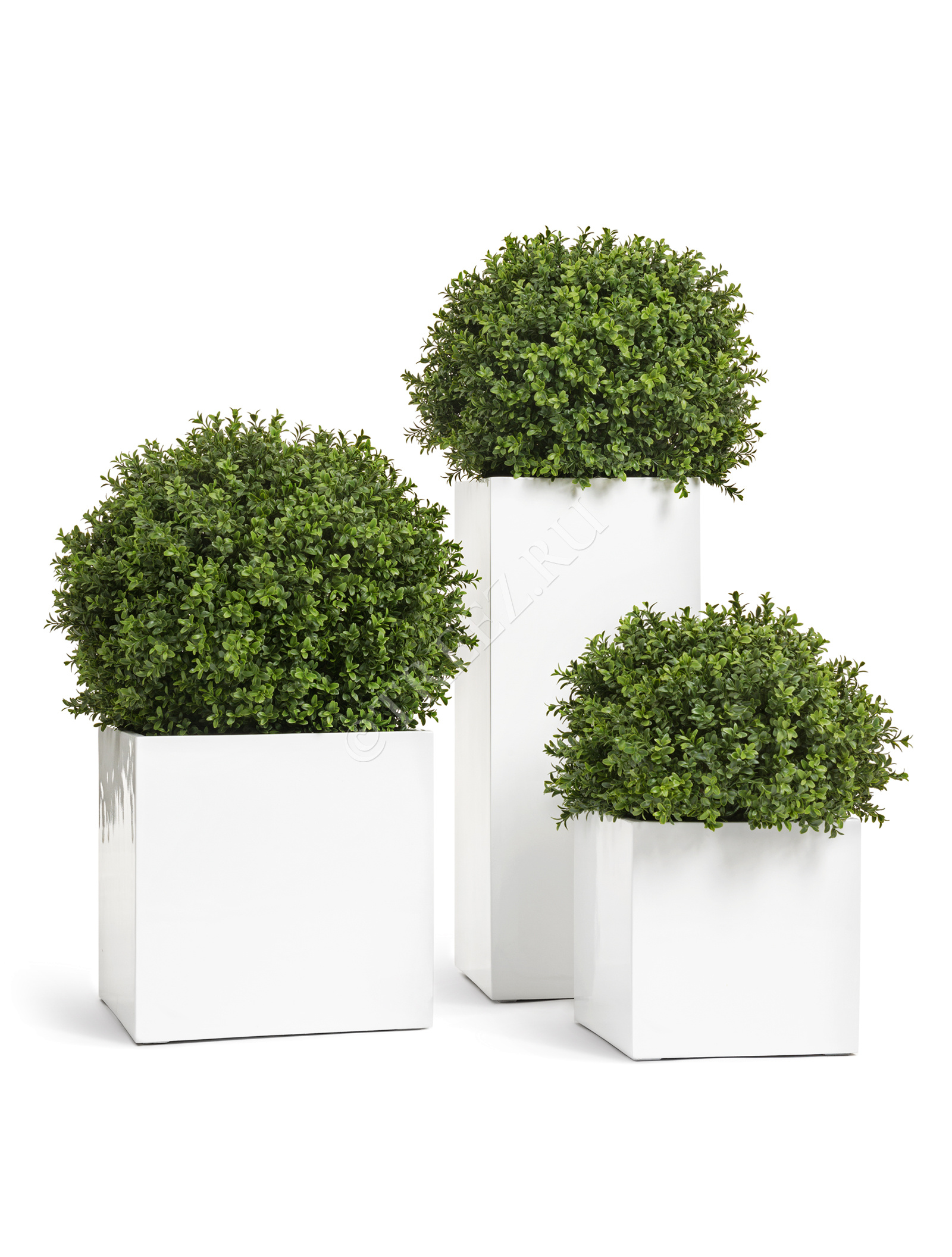 41.3320-05-033-WH-50 Кашпо  Effectory - серия Gloss - Куб - Белый глянцевый лак Цветочная коллекция  - Вид №3