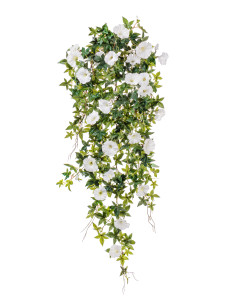 20.1125CR Вьюн (ипомея) белый Цветочная коллекция