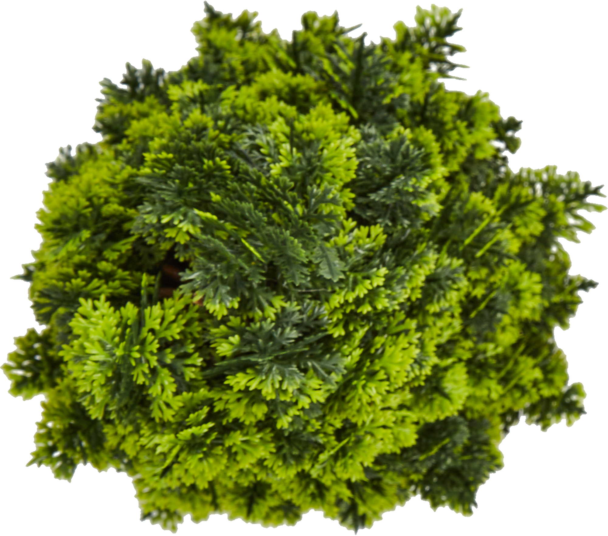 86762969 Искусственное растение в горшке Туя смаранг ø12 h31 см STLM-0071436 Santreyd  - Вид №1